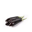 Long Eggplant