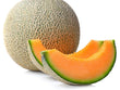 Cantaloupe