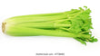 Celery