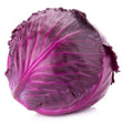 Red Cabbage