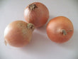 Onions (10Lbs)